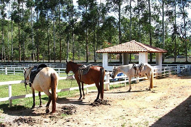 Resort Recanto Do Teixeira All Inclusive Nazaré Paulista Zewnętrze zdjęcie